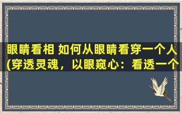 眼睛看相 如何从眼睛看穿一个人(穿透灵魂，以眼窥心：看透一个人的方法)